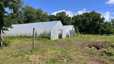 green houses