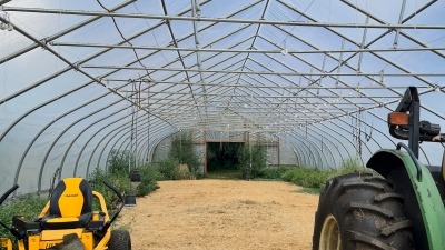 inside green  house