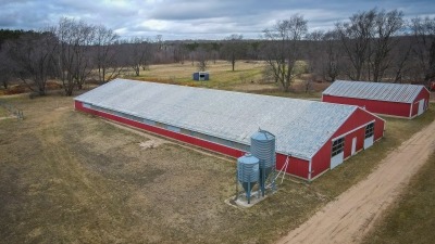 Barn with feeders and water 