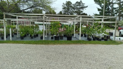 Lath house by road frontage