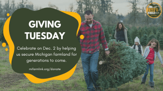 giving tuesday banner, family with pine tree